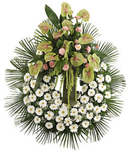 Coroa de Flores 24 horas