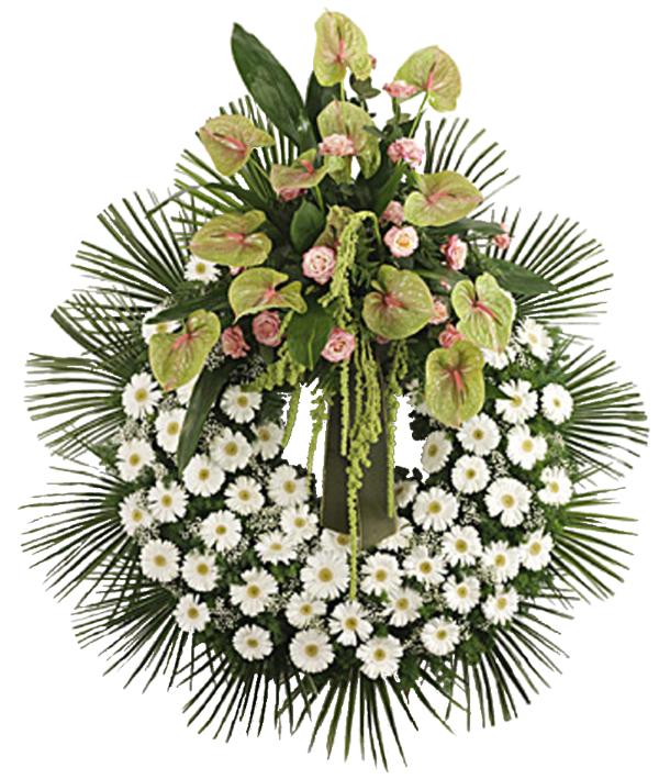Coroa de Flores 24 horas