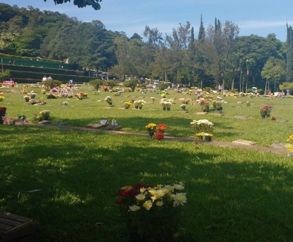 horto_florestal