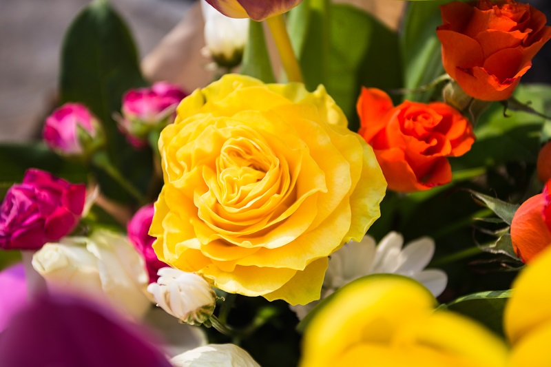 Bouquet of flowers